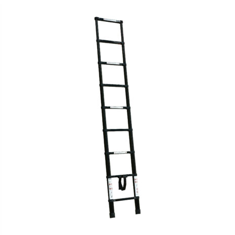 1051391295.jpg 1051391295